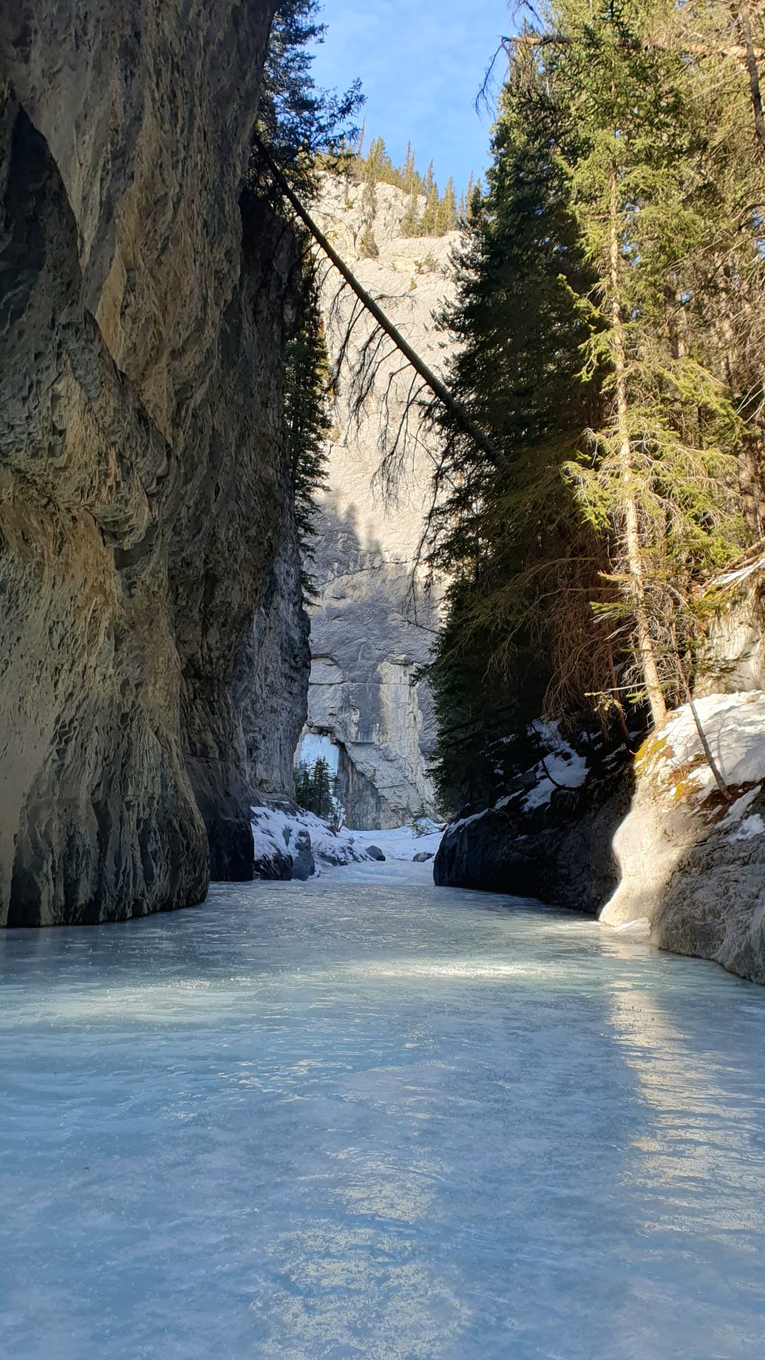 Icewalk im Grotto Canyon