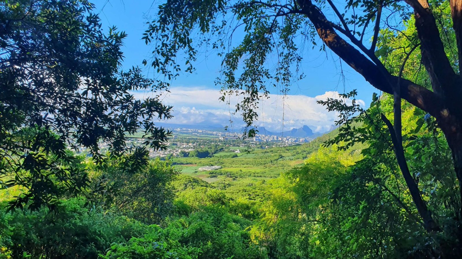Le Pouce / Mauritius
