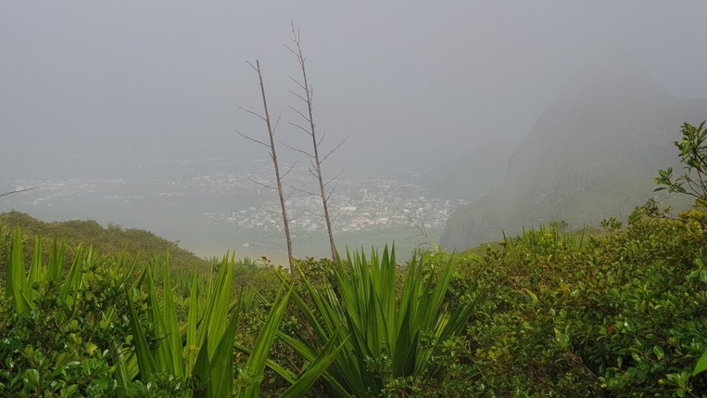 Nebel auf Mauritius