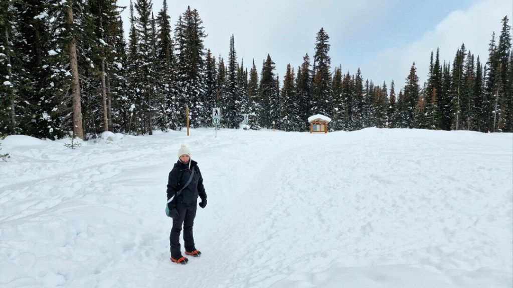 Wanderung zum Peyto Lake