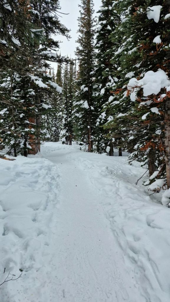 Winter Wanderweg