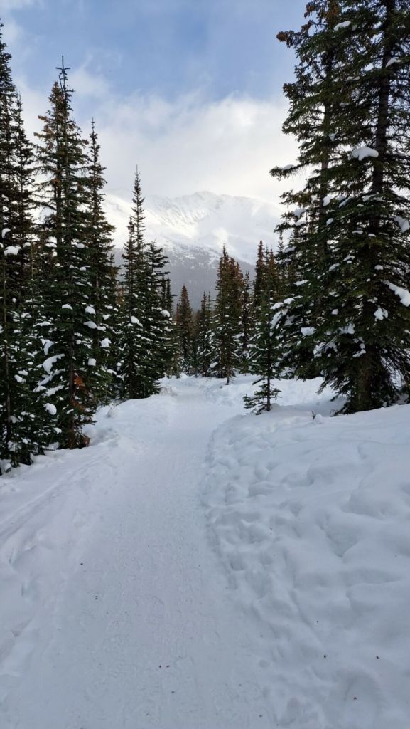 Winter Wanderweg