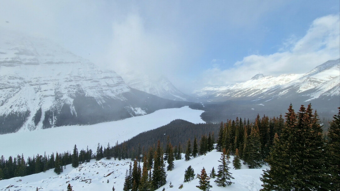 Peyto Lake Banff / Kanada
