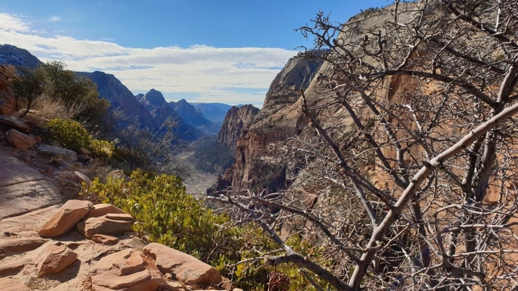 Ausblick auf den Zion National Park