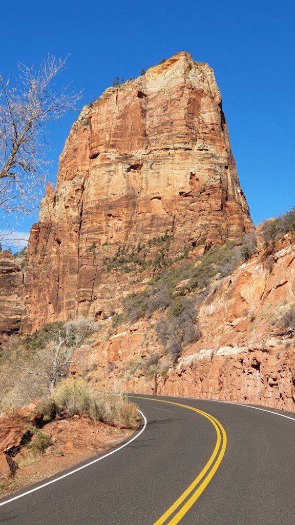 Straße im Zion National Park