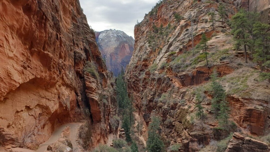 Aussicht vom Angels Landing Trail