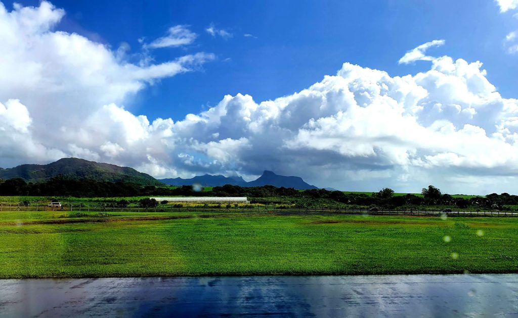 Rückflug Mauritius nach Deutschland