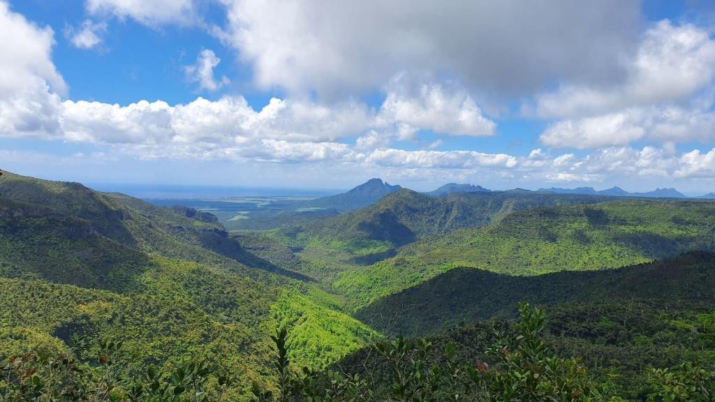 Black River George National Park Mauritius