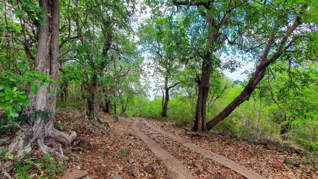 Le Morne Wanderweg