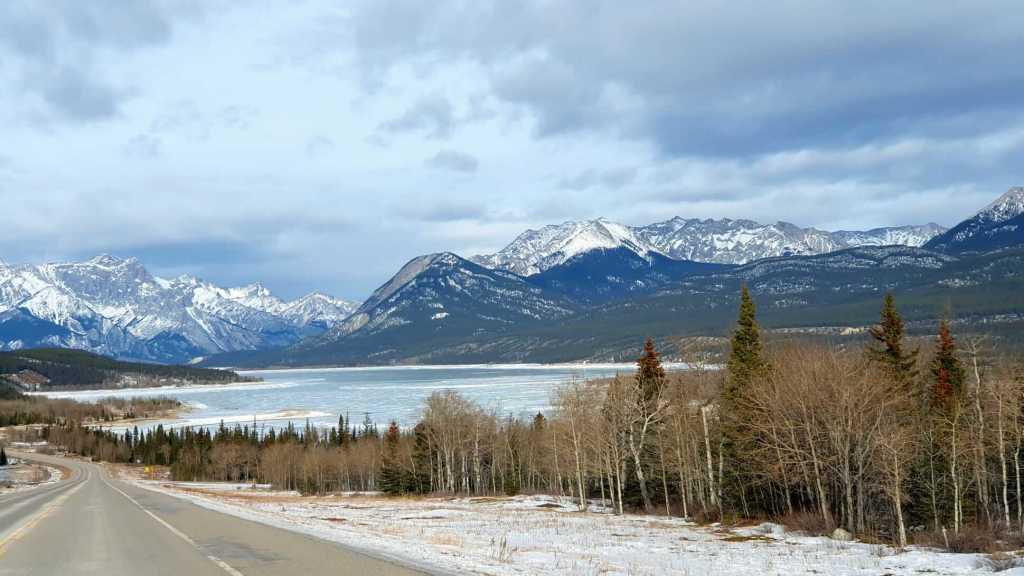 Blick auf den Abraham Lake