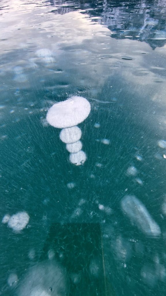 Bubbles am Abraham Lake