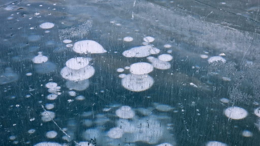 Bubbles Viewpoint