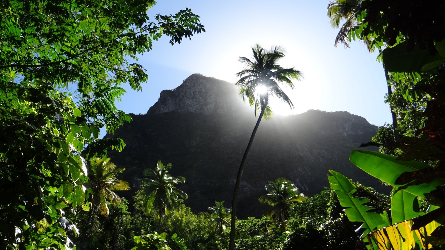 Piton Falls / St. Lucia