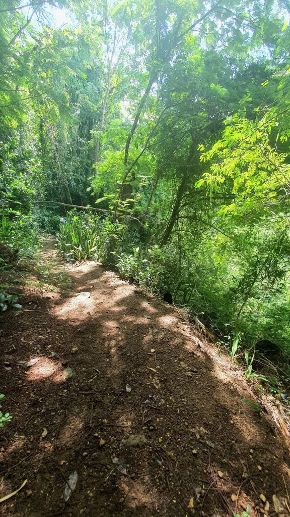 Weg zum Morne Bruce