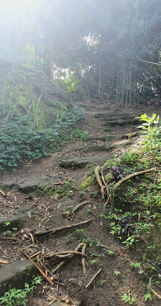 Steiler Weg auf Dominica