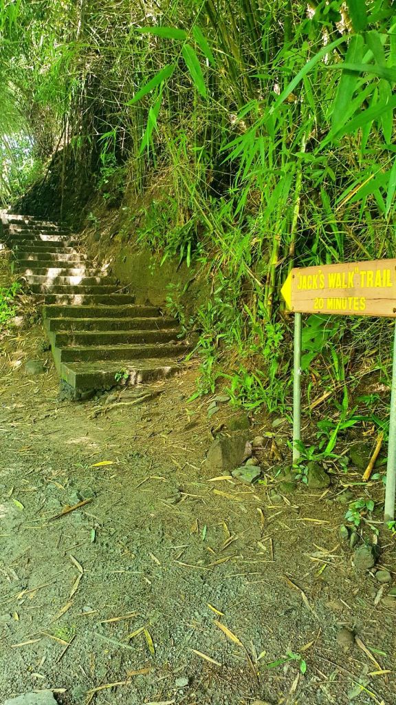 Jacks Walk Trail