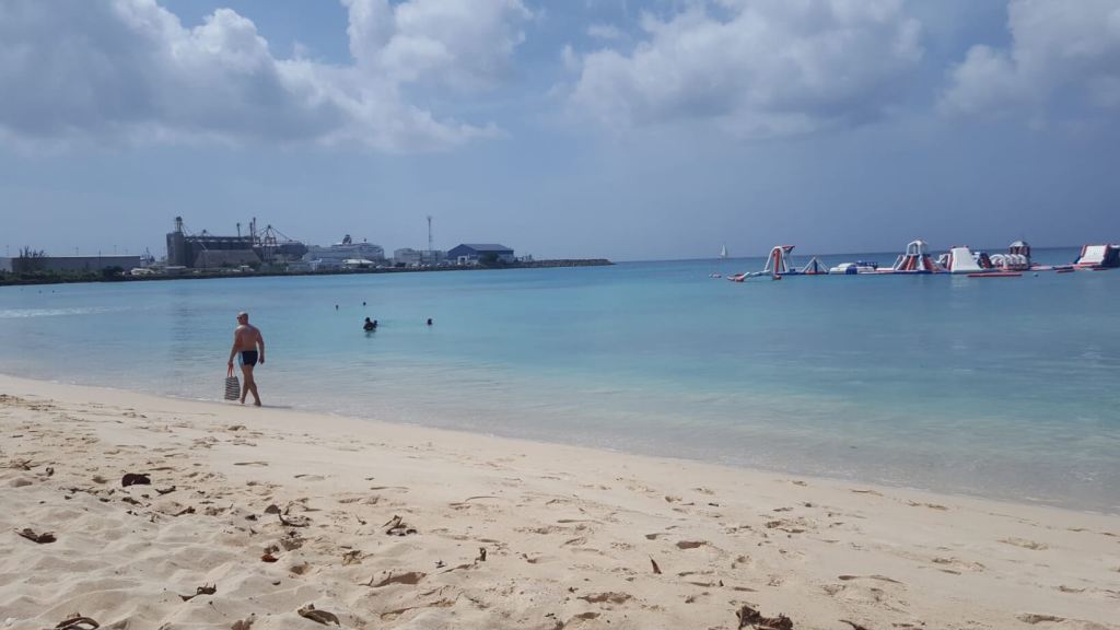 Das Kreuzfahrtschiff in der Ferne am Brandons Beach