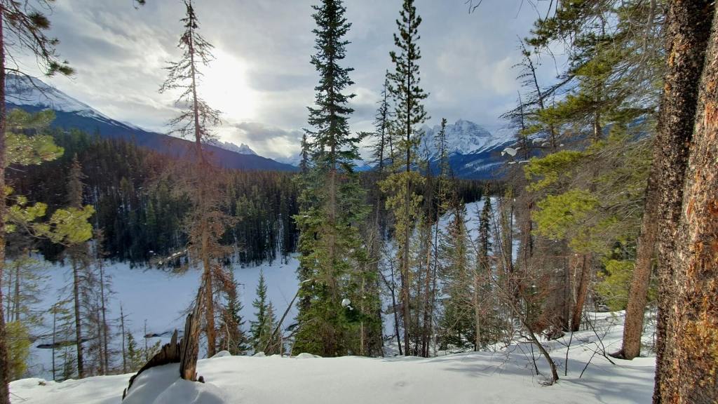 Kanada im Winter