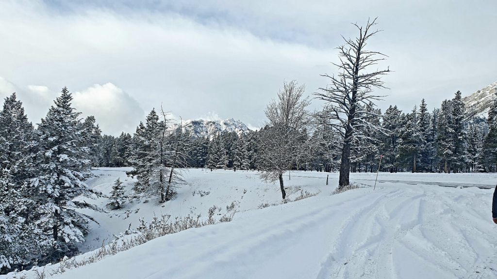 Tolle Schneelandschaft auf Kanada Rundreise