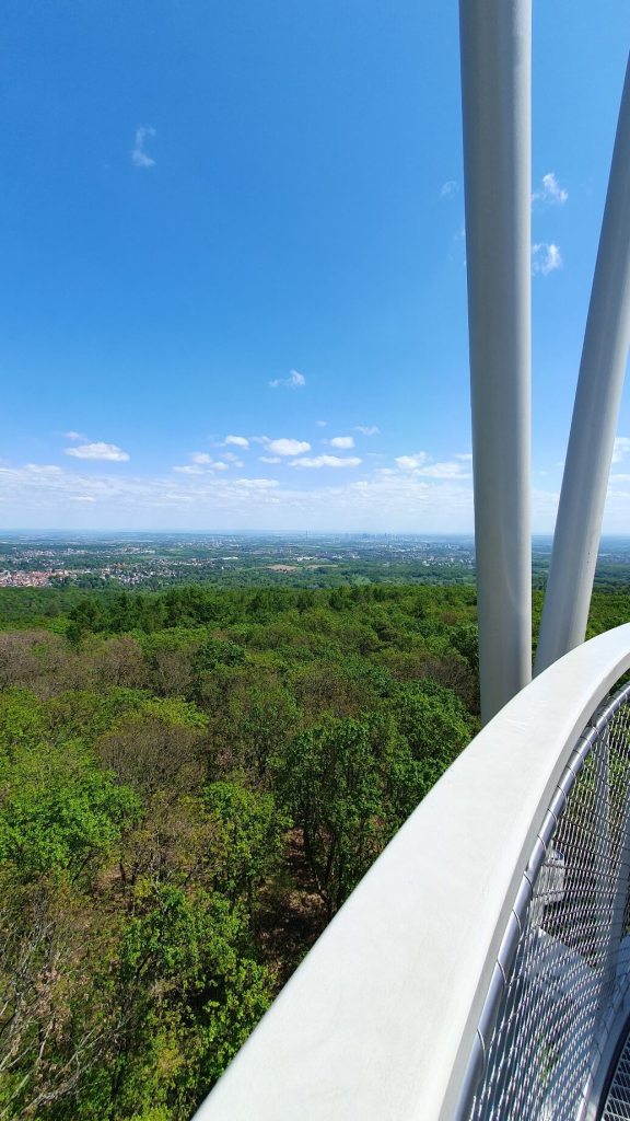 Ausblick vom Hardtbergturm in Königstein