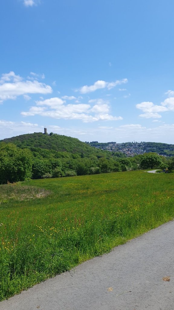 Burg Königstein im Taunus