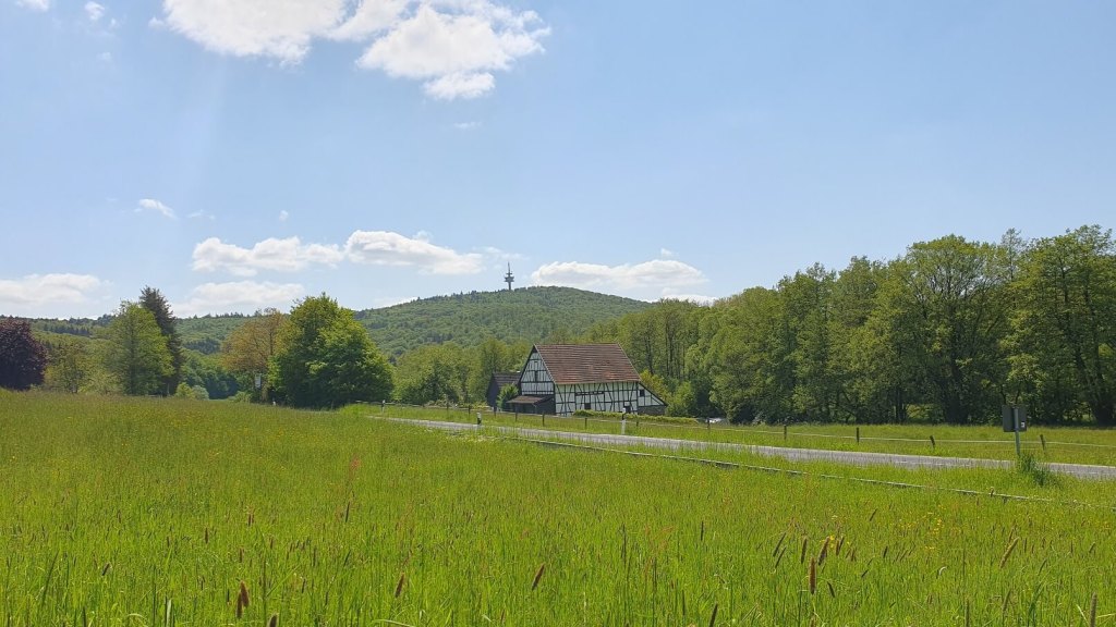 Blick auf den Alzeltberg bei Kelkheim