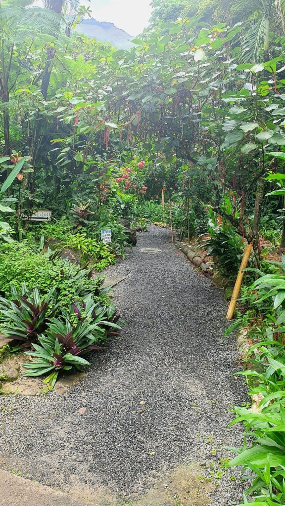 Weg durch den botanischen Garten auf St. Lucia