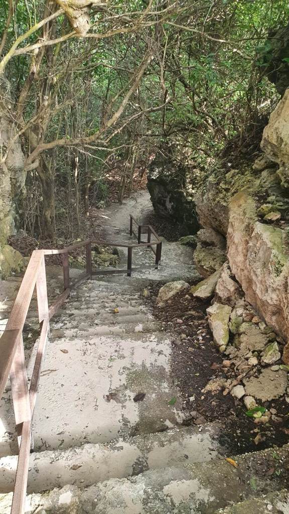 Treppe hinunter zur Bottom Bay