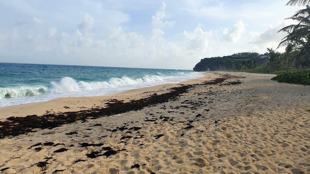 Bottom Bay auf Barbados