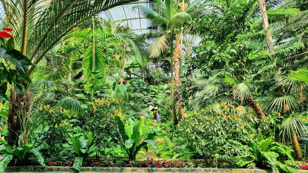 Palmenhaus im Palmengarten in Frankfurt