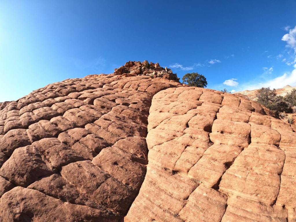 Petriefied Dunes