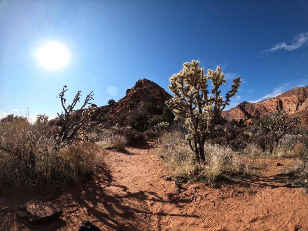 Trail im Snow Canyon State Park