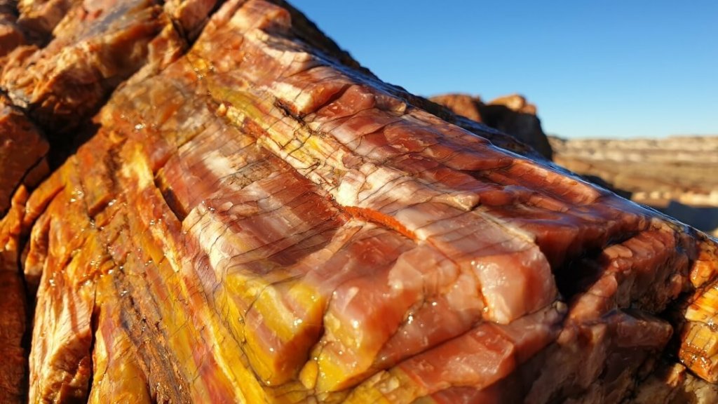 Petrified Forest, letzter National Park der Rundreise