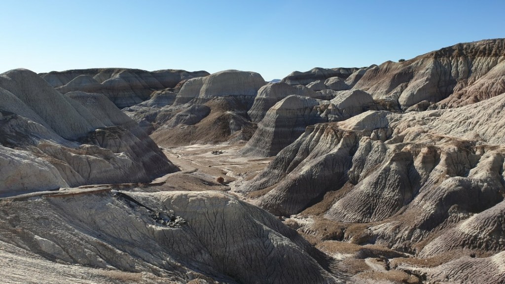 Petrified Forest, letzter National Park der Rundreise