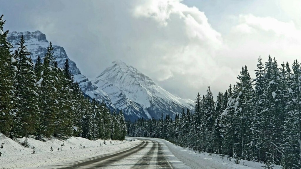 Bow Valley Parkway zwischen Banff und Lake Louise