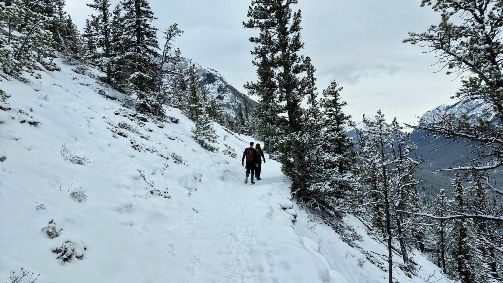Die Wanderung auf dem Tunnel Mountain Trail