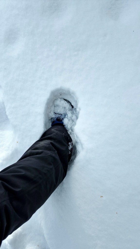 Neuschnee bei Wanderung in Banff