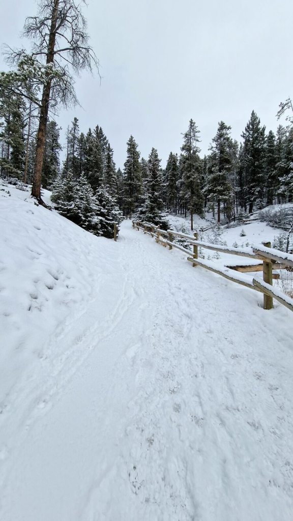 Weg am Tunnel Mountain Trail in Banff