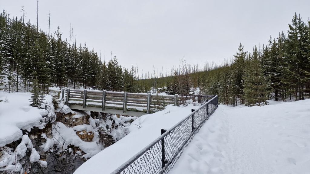 Viele Brücken bei der Wanderung am Marble Canyon
