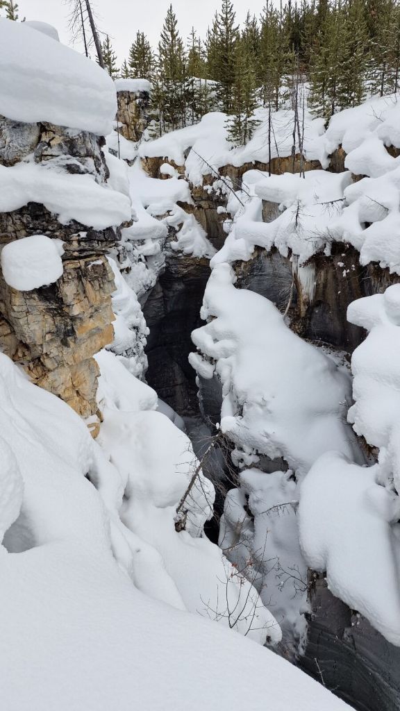 Der Marble Canyon in British Columbia