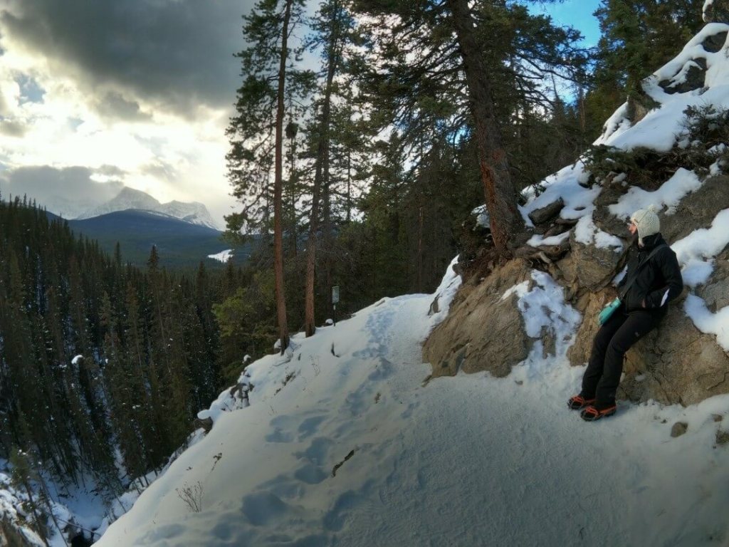Aussicht genießen bei den Silverton Falls in Alberta