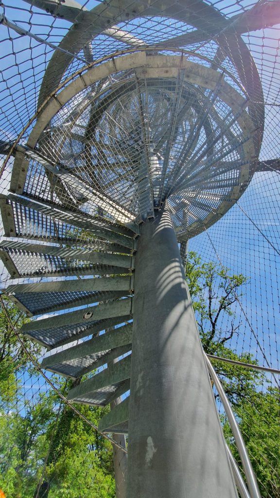Der Atzelbergturm im Taunus