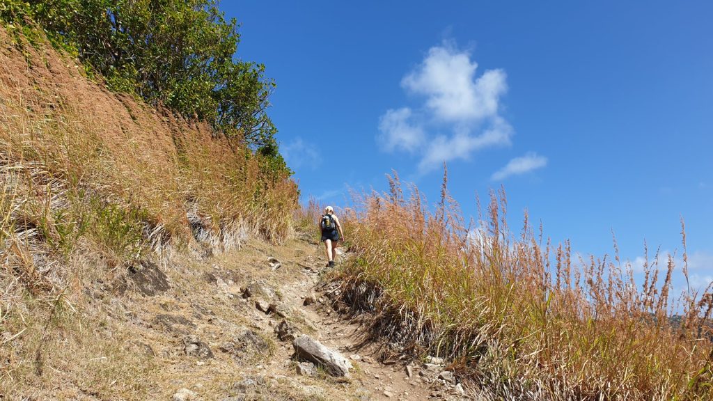 Wanderung zum Gipfel des Signal Peak
