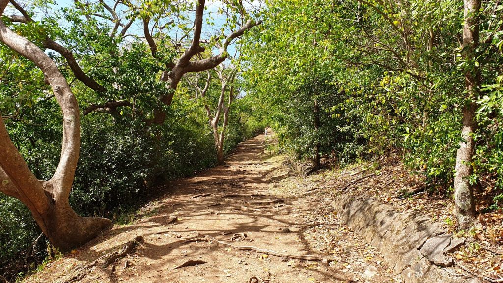Start der Wanderung zum Fort Rodney