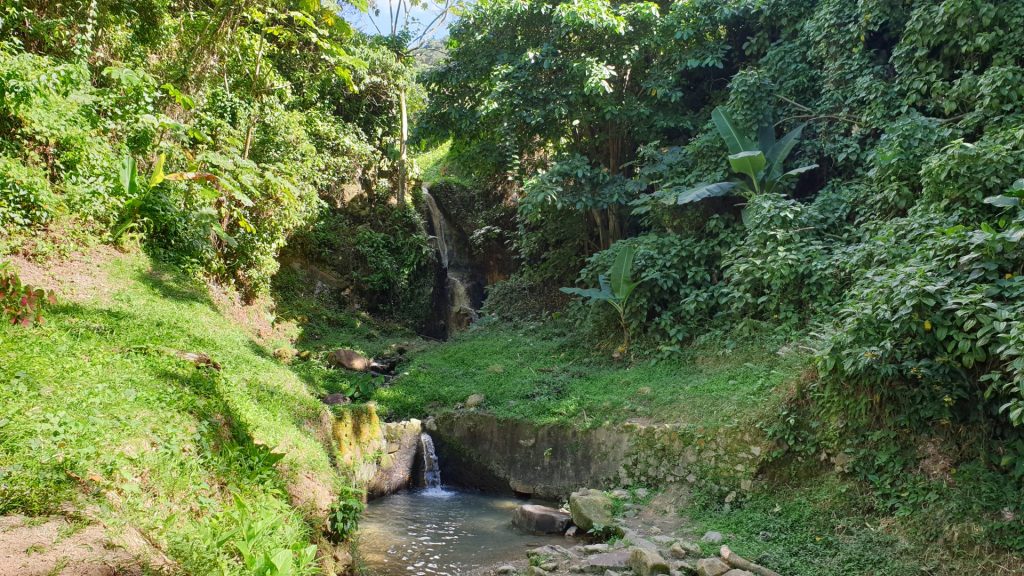 Landschaft auf St. Lucia