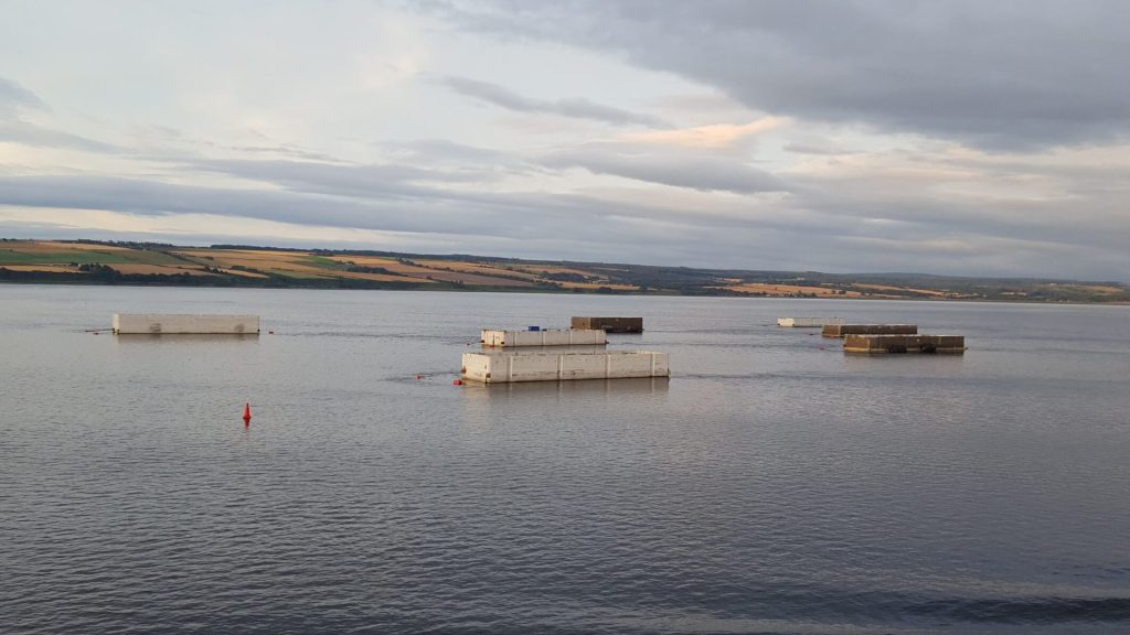 Mein Schiff Kreuzfahrt in Schottland