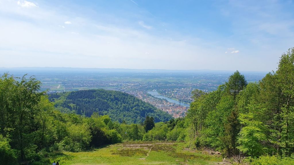 Ausblick auf Heidelberg vom Königstuhl