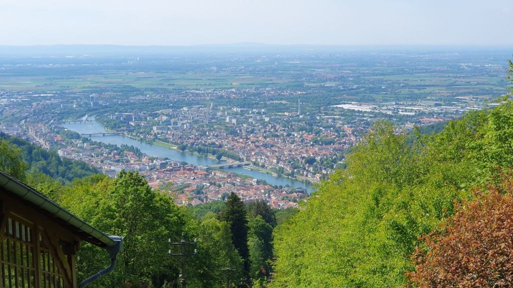Ausblick vom Königstuhl