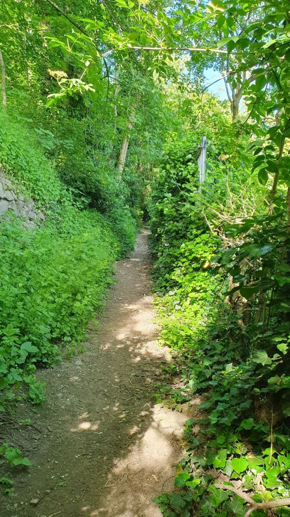 Wanderung im Grünen