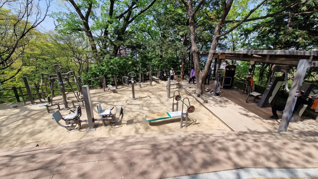 Outdoor Fitness in Seoul